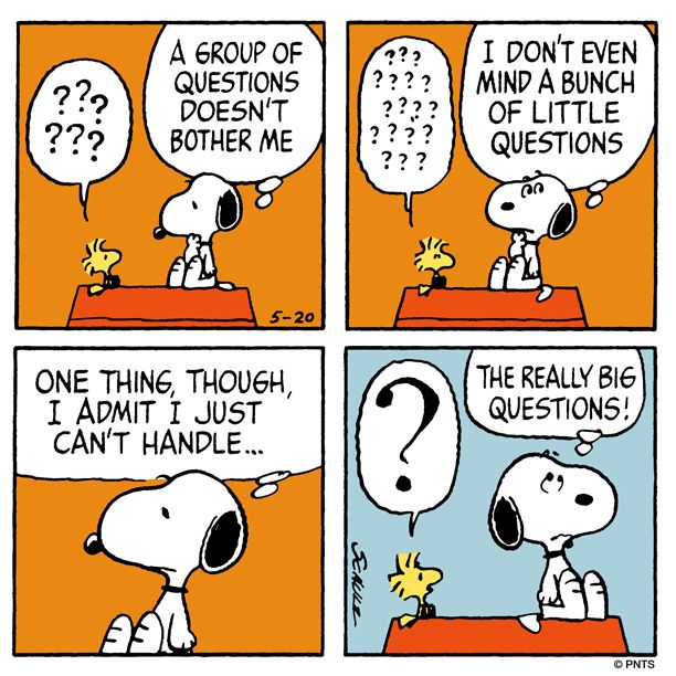 The really big questions  Snoopy cartoon Snoopy funny Snoopy love
