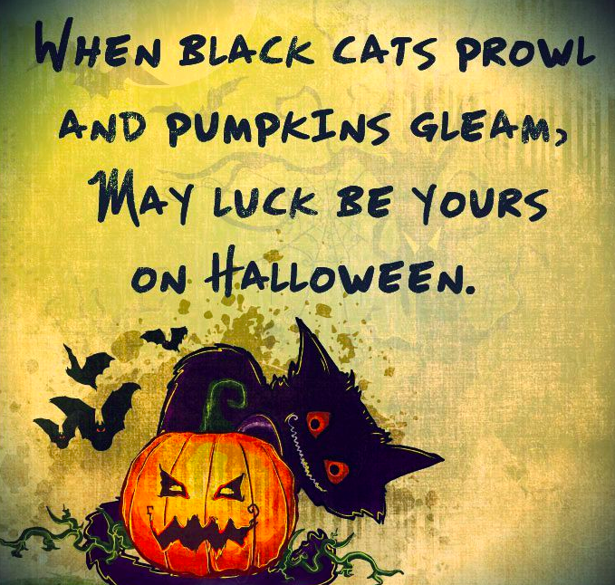 Happy Halloween 2019 Quotes Greetings Captions Sayings  Thoughts   Gadget Freeks