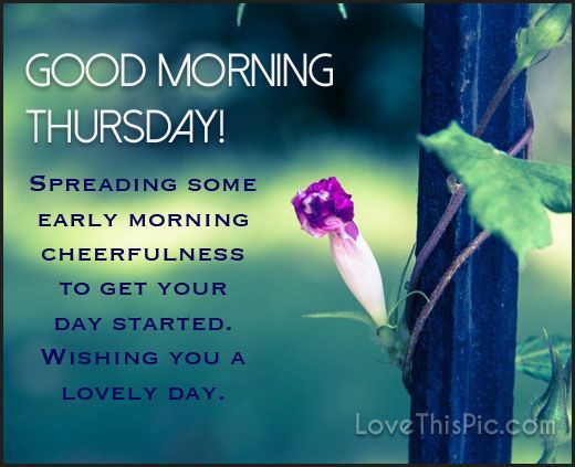 Good Morning Thursday Spreading Early Morning Cheer With images