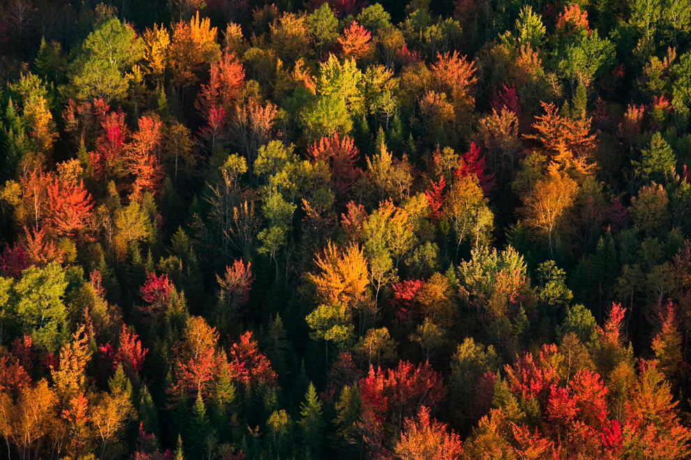 Autumn scenes - Photos - The Big Picture - Bostoncom