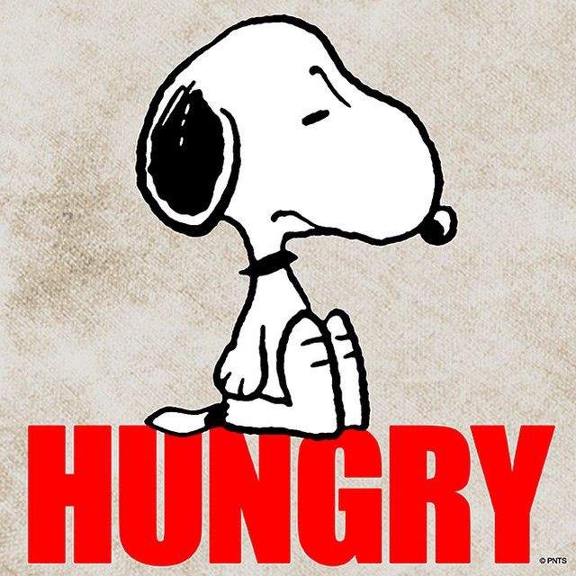 That time of day  Snoopy Snoopy pictures Snoopy quotes