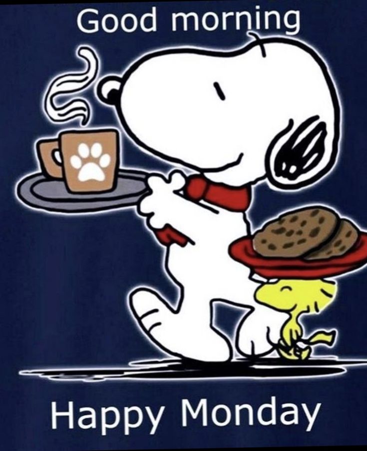 Pin by Rebecca Chiu on Good morning  Good morning happy Good morning  happy monday Happy monday