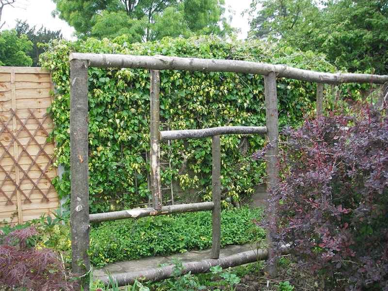 http://www.kevintwelvetrees.co.uk/images/rustic-trellis.jpg