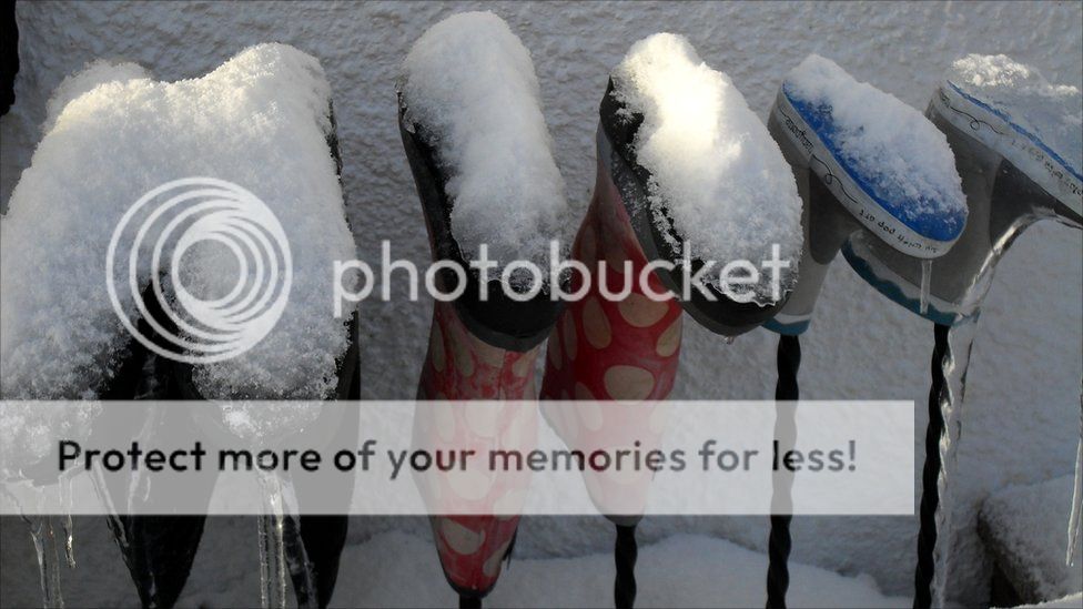 http://i1143.photobucket.com/albums/n627/thedogcody/_50555211_wellies.jpg