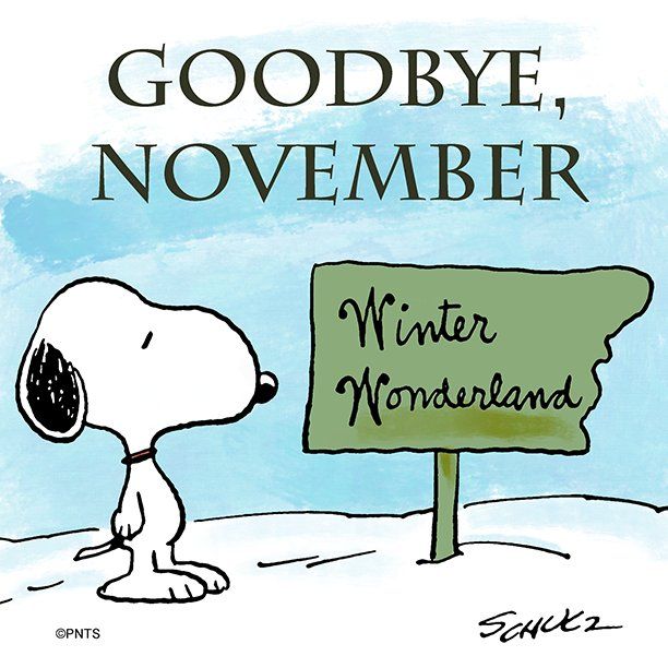 PEANUTS on Twitter  Snoopy love Snoopy pictures Snoopy