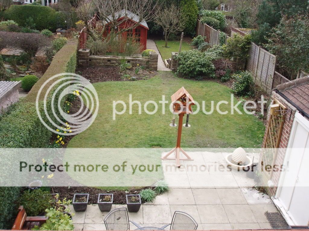 http://i232.photobucket.com/albums/ee192/thebear843/Garden/007.jpg