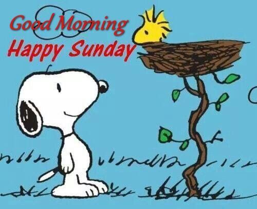 Good Morning Happy Sunday Snoopy Quote  Snoopy quotes Good morning happy  sunday Good morning snoopy