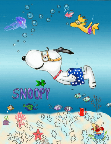 Snoopy and Woodstock swimming in the deep to see the beautiful creatures  who live near the bottom via GIPHY  Snoopy pictures Snoopy dance Snoopy  cartoon