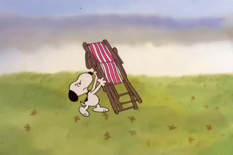 Peanuts GIF - Find  Share on GIPHY  Snoopy pictures Snoopy love Snoopy  funny