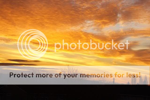 http://i27.photobucket.com/albums/c186/DavidKnapper/002_zps27f524c3.jpg