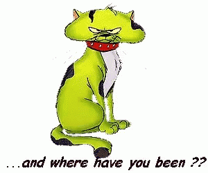 And Where Have You Been Cat GIF - AndWhereHaveYouBeen Cat