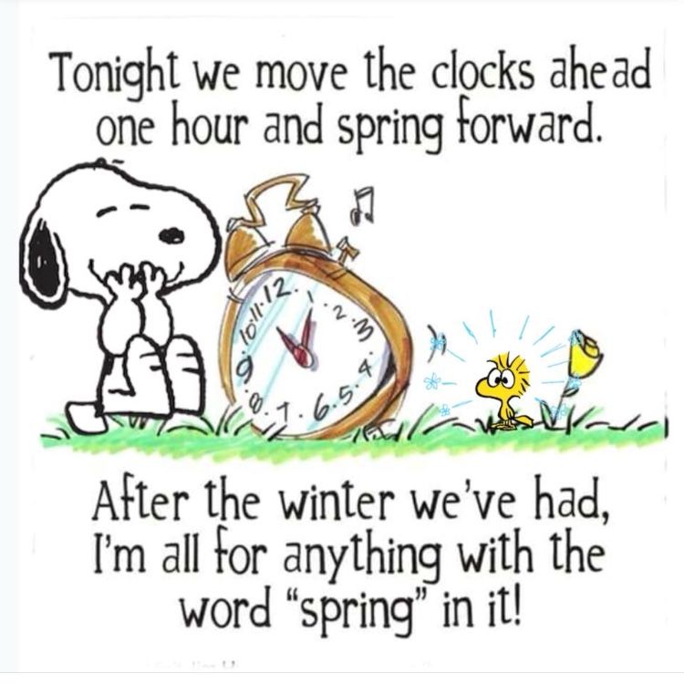 Daylight Savings Time  Funny quotes for teens Happy wednesday quotes  Snoopy images