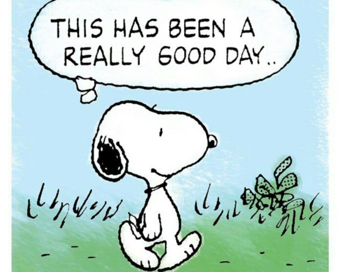 7 Snoopy Quotes About Life And Happiness  Snoopy quotes