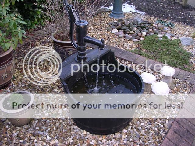 http://i27.photobucket.com/albums/c186/DavidKnapper/DSCN0782.jpg