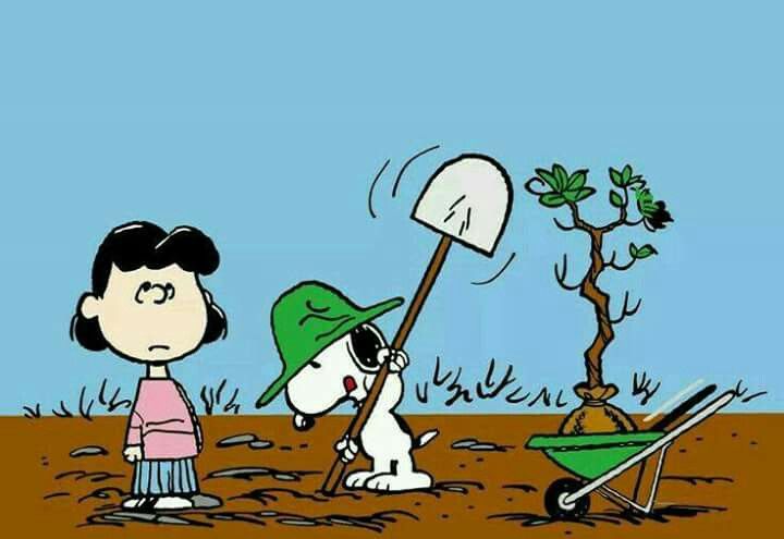 Snoopy digging with Lucy supervising  Snoopy cartoon Snoopy love Snoopy