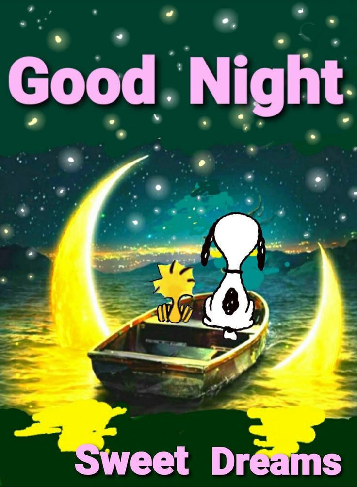good-night  Goodnight snoopy Snoopy cartoon Snoopy pictures