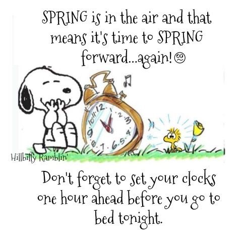Pin by Iris on Snoopy  Snoopy quotes Snoopy funny Snoopy pictures