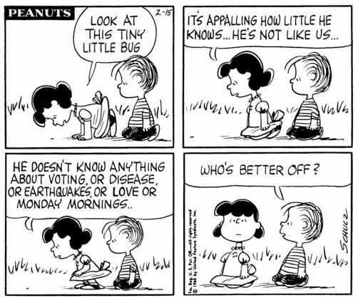 peanuts  Snoopy comics Charlie brown and snoopy Peanuts comic strip