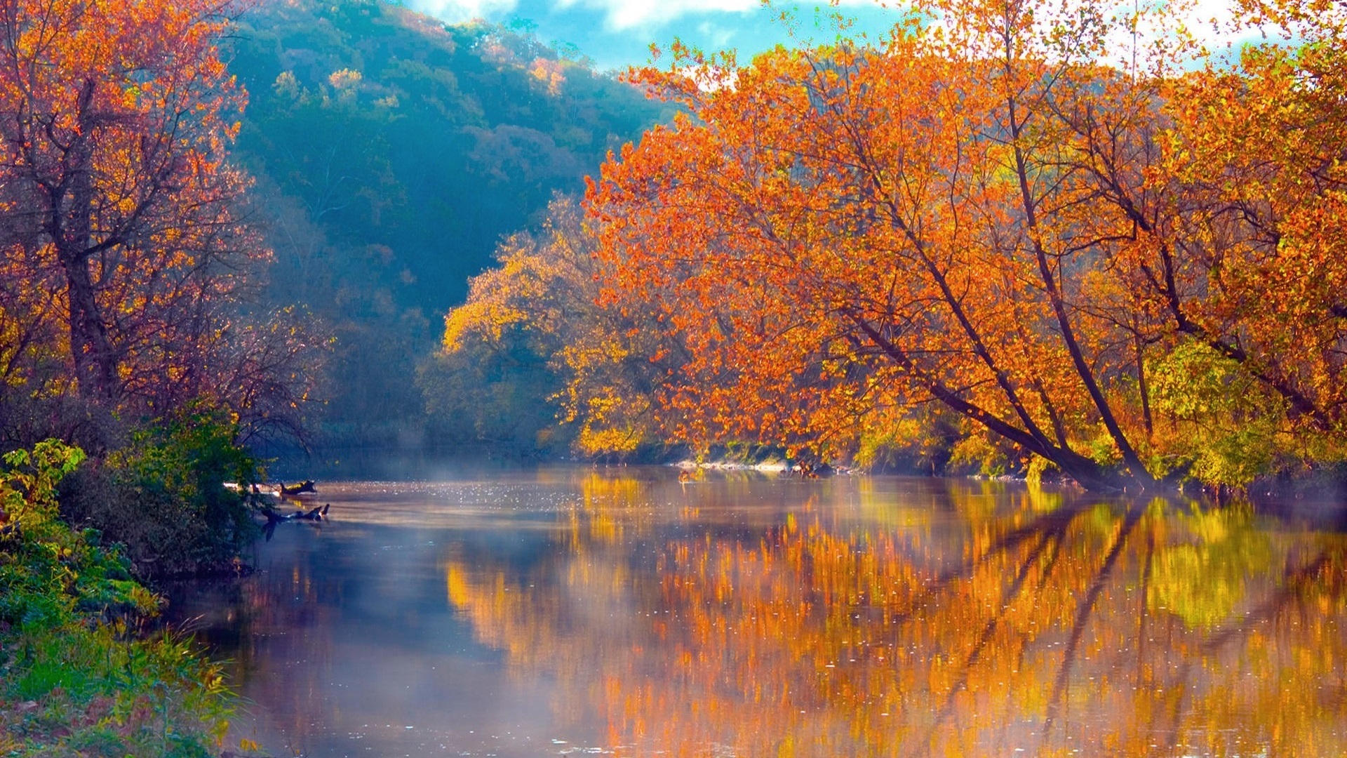 Image result for Beautiful Autumn morning pictures