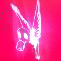 Goldylookinfinch