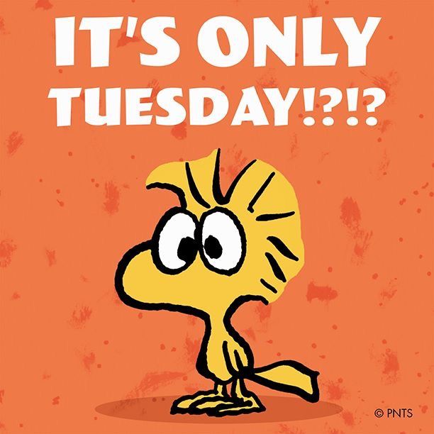 Pin by Deanie Mooney on Snoopy  Eeyore  Funny images with quotes Morning  humor Snoopy funny