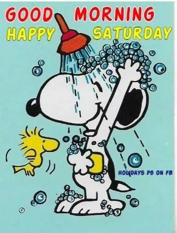 65 Saturday ideas  charlie brown and snoopy snoopy love snoopy and  woodstock