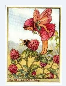 FlowerPixie
