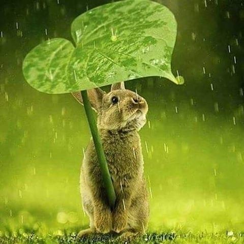 what a cute  lovely image like
