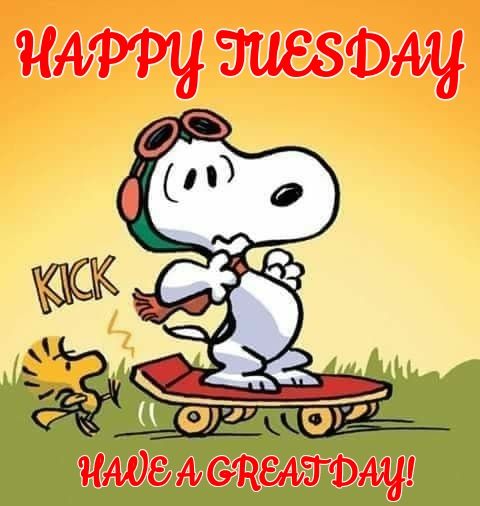 Pin by Silke Gabler on penuts  Happy tuesday morning