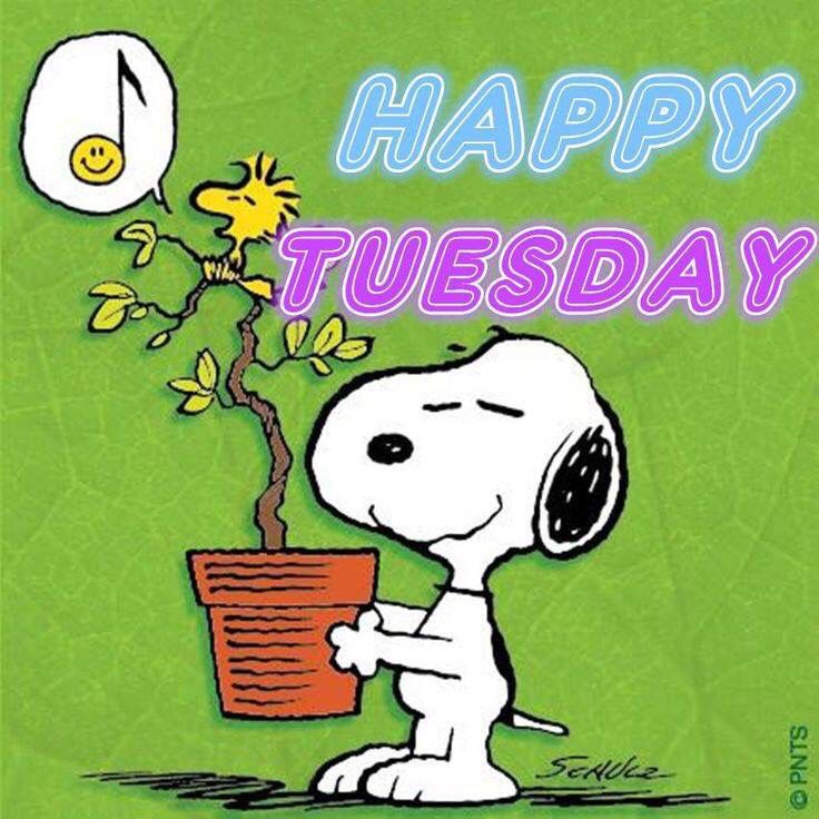 Peanuts Snoopys Town Tale Fan Page on X Good Morning from the Peanuts  Snoopys Town Tale Gang Happy Tuesday httpstcoqC1ZL8yw2t  X