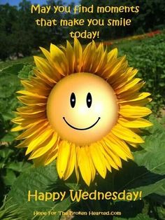 21 Wonderful Wednesday ideas  wonderful wednesday happy wednesday quotes  wednesday quotes