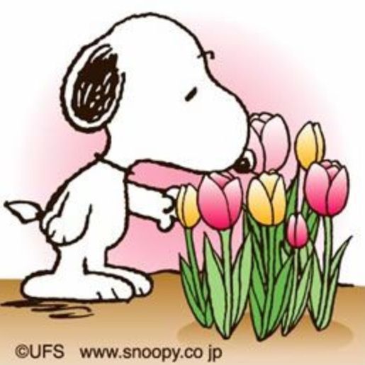 snoopy spring flowers - Norton Safe Search  Snoopy pictures Snoopy funny  Snoopy love