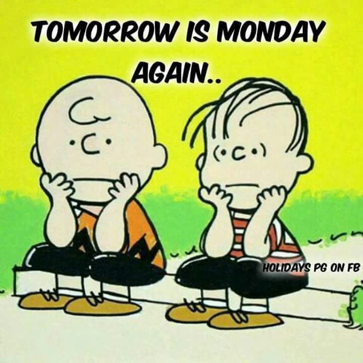 Pin by Roro on Charlie Brown and the peanut gang snoopy  Snoopy funny Peanuts  charlie brown snoopy Charlie brown characters