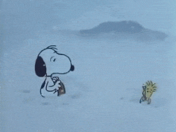 snoopy catching snow gif  Snoopy Snoopy love Snoopy christmas