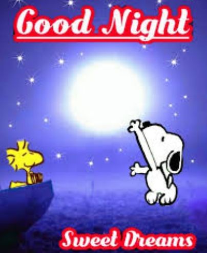 Snoopy Touching Moon - Good Night Sweet Dreams Pictures Photos and  Images for Facebook Tumblr Pinterest and Twitter