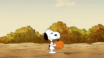 Take Care with Peanuts GIFs on GIPHY - Be Animated