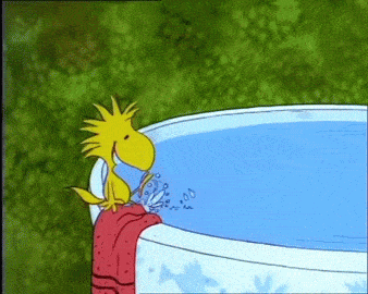 woodstock  Snoopy pictures Snoopy funny Snoopy love