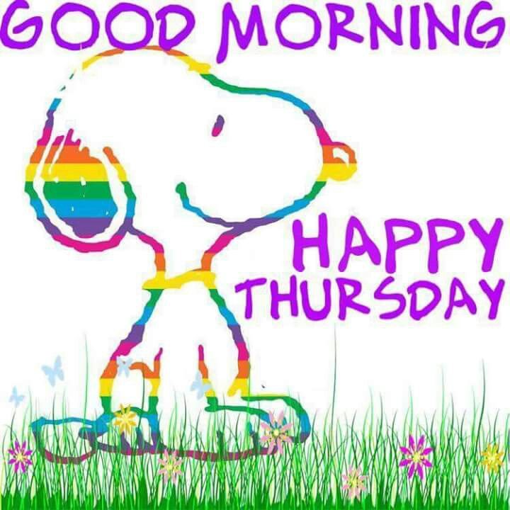 Pin on Charlie Brown and the peanut gang snoopy