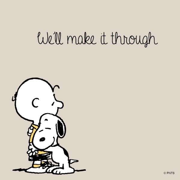Twitter  Charlie brown quotes Snoopy quotes Snoopy funny