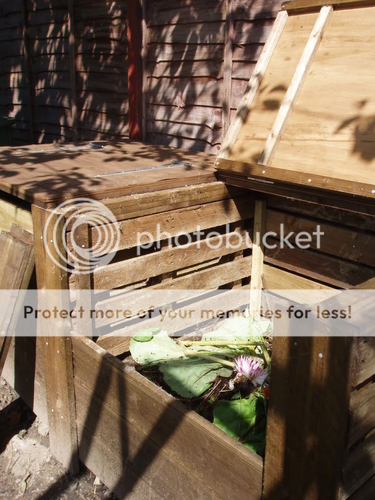 http://i232.photobucket.com/albums/ee192/thebear843/130.jpg