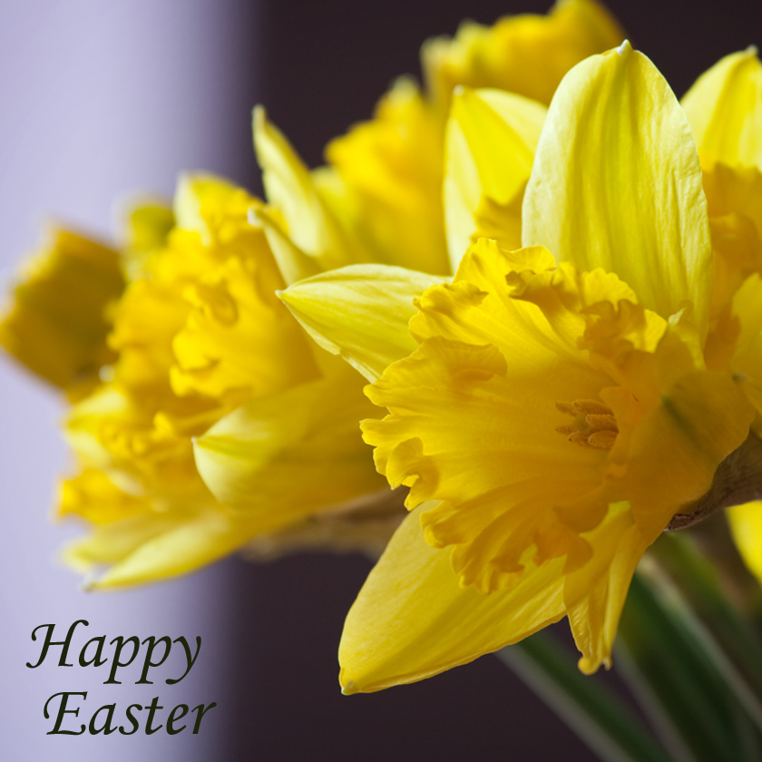 https://lh3.googleusercontent.com/-oJa3i1RS4zo/TW-c600ElqI/AAAAAAAAAQU/EHKIGPWQ2rg/s1600/Easter+Card.jpg