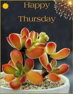 500 THURSDAY ideas in 2020  thursday good morning thursday thursday  greetings