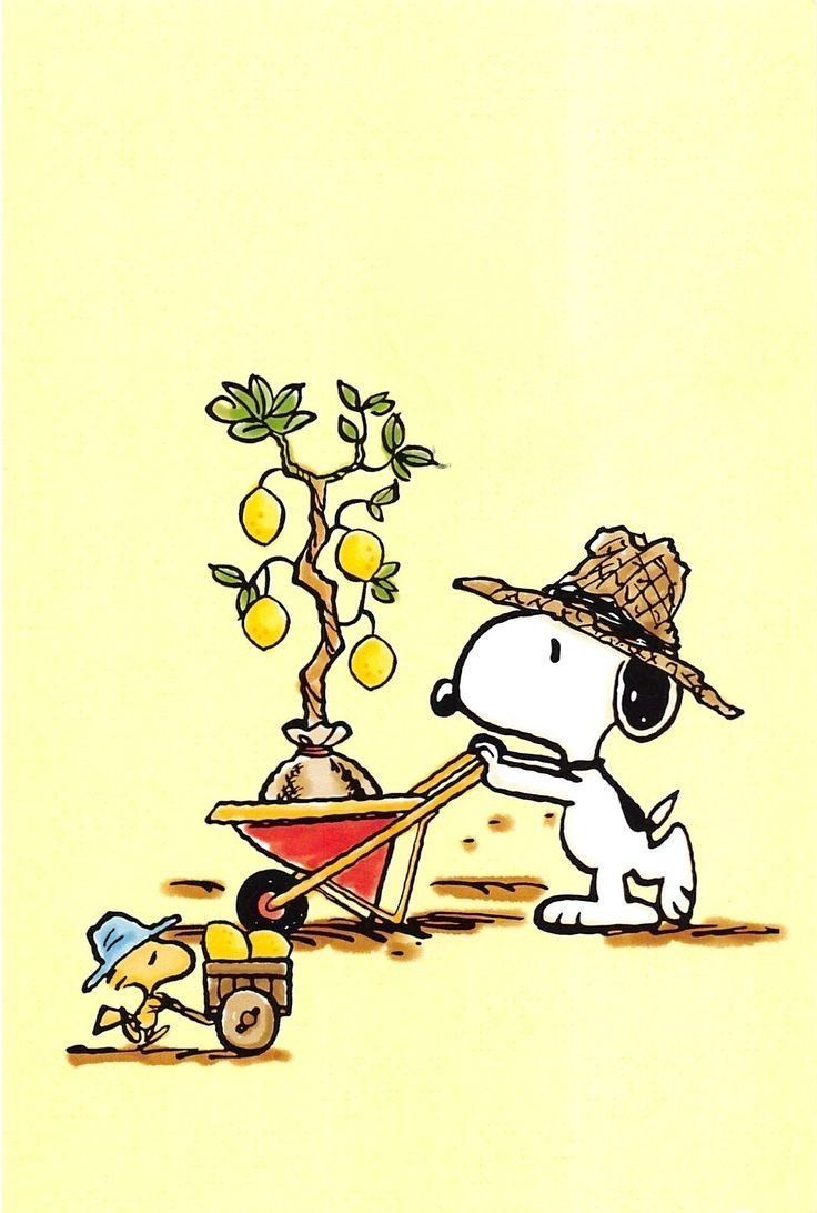 Pin en PEANUTS