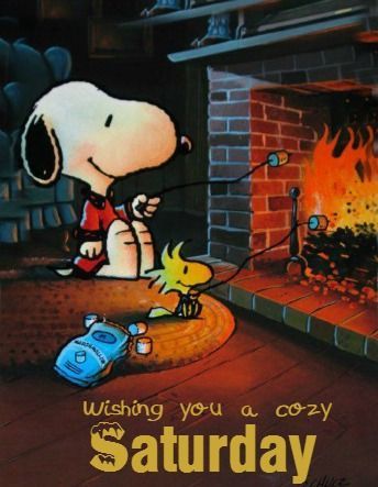 Wishing You A Cozy Saturday Snoopy Quote Pictures Photos and Images for  Facebook Tumblr Pinterest and Twitter