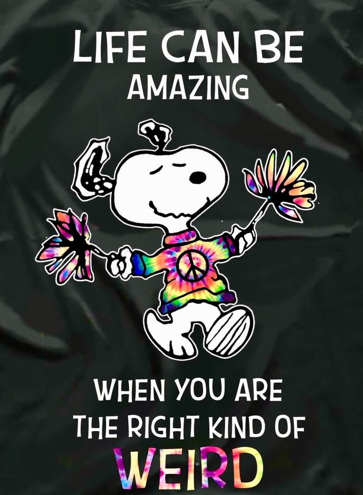 Pinterest photo  Snoopy love Snoopy quotes Snoopy funny
