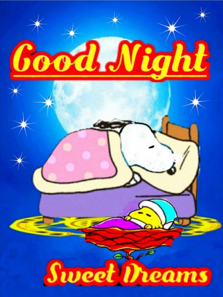 good-night  Snoopy images Snoopy quotes Good night greetings