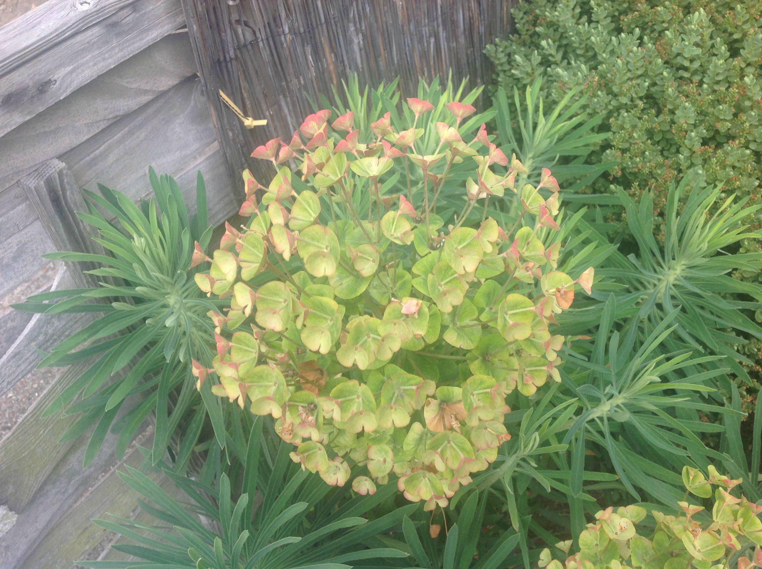 http://i.imgur.com/ITSl642.jpg
