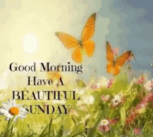 Sunday Happy GIF - Sunday Happy - Discover  Share GIFs