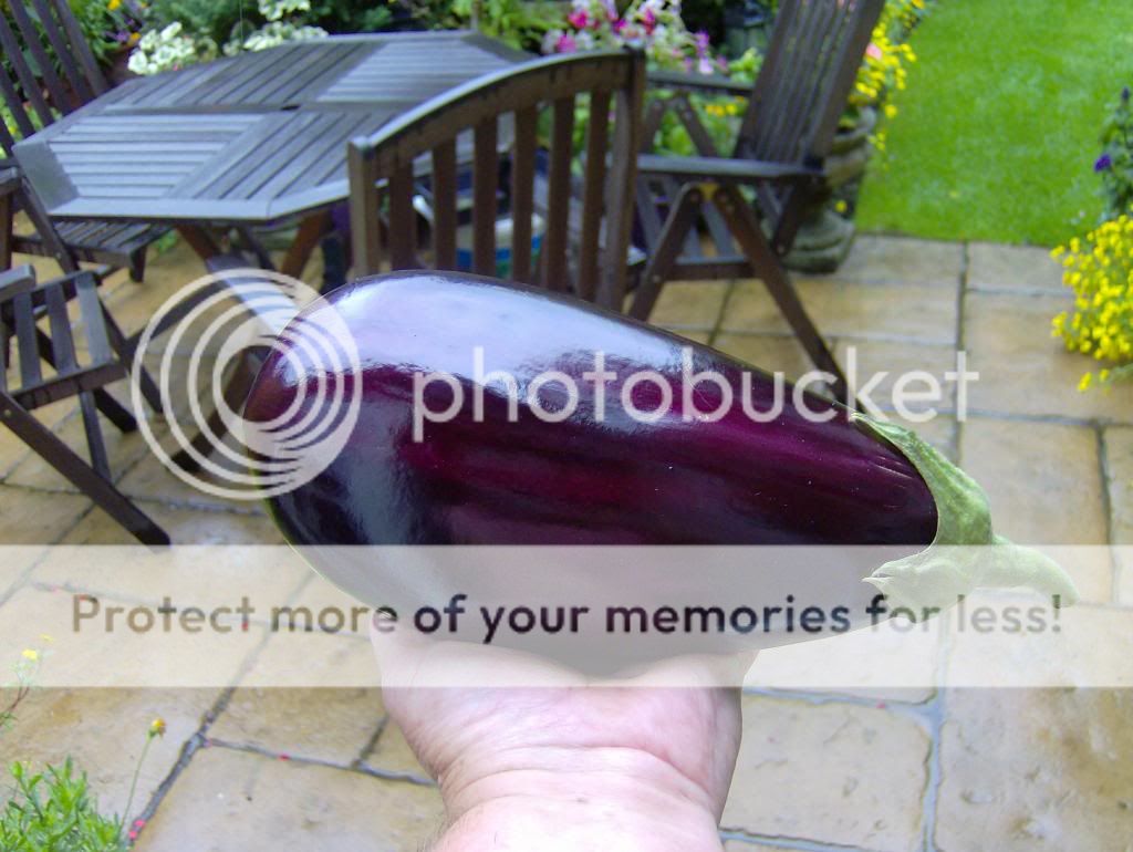 http://i1314.photobucket.com/albums/t566/esthergray1/ghpics002_zps0e6d4690.jpg