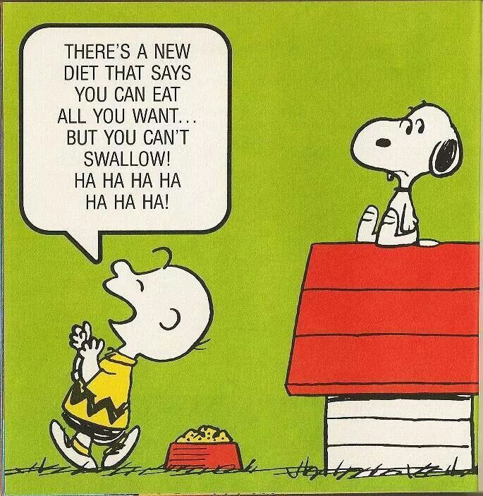 Snoopy and Charlie Brown  Snoopy cartoon Snoopy birthday